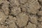 Dry lakebed cracked dirt textured background