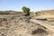 Dry landscape with hills and a country road in Monreal de Ariza