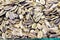 Dry large sunflower seeds on the market close up