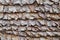 Dry leaves background, Detail of an Asian house roof made from dry leaves nature architecture design