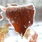 Dry leaves and snow