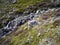 A dry Loft Beck leading up from Ennerdale