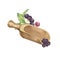 Dry maqui berries in wooden spoon with berries and leaves