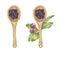 Dry maqui berries in wooden spoons with berries and green leaves and flower bud