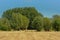 Dry mawn meadow with trees under a clear blue sky in Kalkense Meersen nature reserve, Flanders, Belgium.
