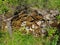 Dry Moss on Old Dry Stone Retaining Wall, Greece