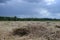 the dry, mowed grass lies in the field under the dark stormy sky