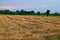 Dry Mown Hay in Farm Field, Serbia