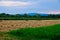 Dry Mown Hay in Farm Field, Serbia