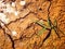 Dry mud ground with crack texture and granite gravel