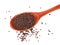 Dry mustard black seeds in wooden spoon isolted on the white background