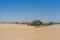 Dry Oasis in the Namibe Desert. Angola.