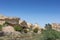 Dry oasis in the Namibe Desert. Angola. Africa