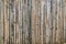 Dry old vintage bamboo decorative fence wall background.