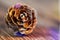 A dry opened cone from a conifer lies on a wooden surface. Waiting for Christmas. Macro. LED backlight. Vintage processing