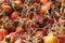 Dry orange berry rosehip fruit