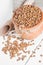 Dry Organic Brown Lentils against a wooden background