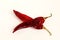 dry organic kashmiri red chili pepper powder texture on white background,selective focus,top view,text copy space