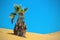 Dry palm in the sand dune. Namib desert