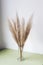 Dry pampas grass reed in glass vase. Minimal interior decoration concept