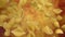 Dry pasta Conchiglie rigate flying diagonally on a yellow ochre background