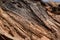 Dry Peeled Tree Bark Texture background Macro Stock Photography Image