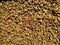 Dry pet food texture photo. Word CAT written with granules.