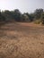 A dry pond in India nothing water save a Lang period
