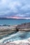 Dry Posidonia on rocks by the sea