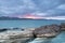 Dry Posidonia on rocks by the sea