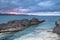 Dry Posidonia on rocks by the sea