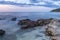 Dry Posidonia on rocks by the sea