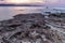 Dry Posidonia on rocks by the sea