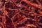 Dry red chilly pic for kitchen wallpaper
