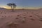 Dry red windswept sand in the Namib Desert