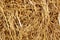 Dry rice straw texture for background and design, hay bale pattern