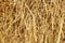 Dry rice straw texture for background and design, hay bale pattern