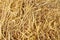 Dry rice straw texture for background and design, hay bale pattern