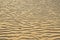 Dry rippled golden sand, ideal for backgrounds