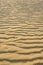 Dry rippled golden sand, ideal for backgrounds