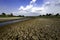 Dry river on drought parched ground and crack ground