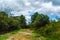 Dry river on drought parched ground. Ecological catastrophy