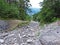 Dry riverbed of seasonal alpine torrential stream above the Rhine river valley Rheintal - Schaan, Liechtenstein