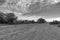 The dry riverbed of the swakop river in the morning in black and white Namibia