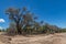 The dry riverbed of the Ugab River, Damaraland, Namibia