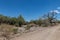 The dry riverbed of the Ugab River, Damaraland, Namibia