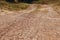 The dry road in cracks in rural areas with droughty climate