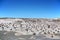 Dry rocky landscape in Provincial Ischigualasto Park, Argentina
