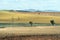 Dry rural farm landscape in central west NSW, Australia