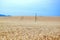 Dry Rye Field Grain Farming Agriculture Blue Sky Background Agriculture Track  Meadow Stock Photo